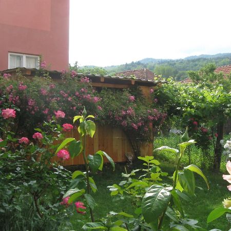 فندق Casa Fabrizio Călimăneşti المظهر الخارجي الصورة