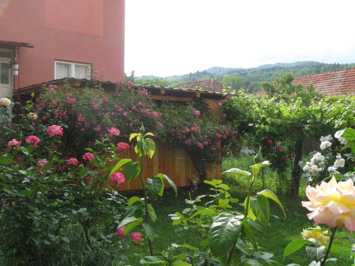 فندق Casa Fabrizio Călimăneşti المظهر الخارجي الصورة