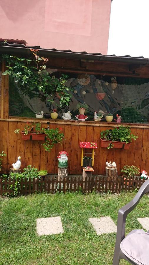 فندق Casa Fabrizio Călimăneşti المظهر الخارجي الصورة