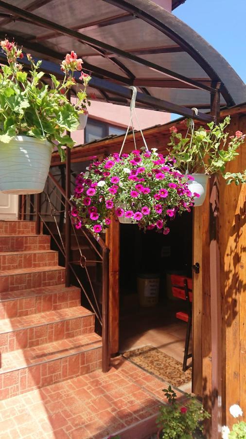 فندق Casa Fabrizio Călimăneşti المظهر الخارجي الصورة
