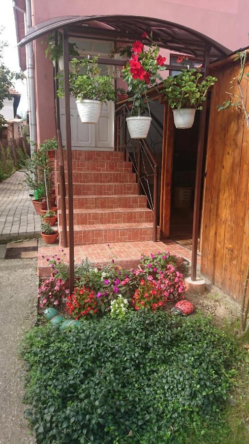 فندق Casa Fabrizio Călimăneşti المظهر الخارجي الصورة