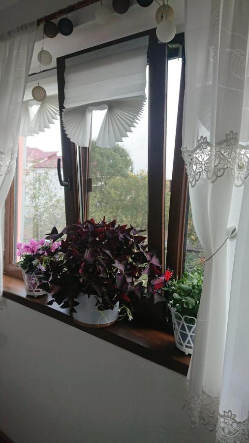 فندق Casa Fabrizio Călimăneşti المظهر الخارجي الصورة