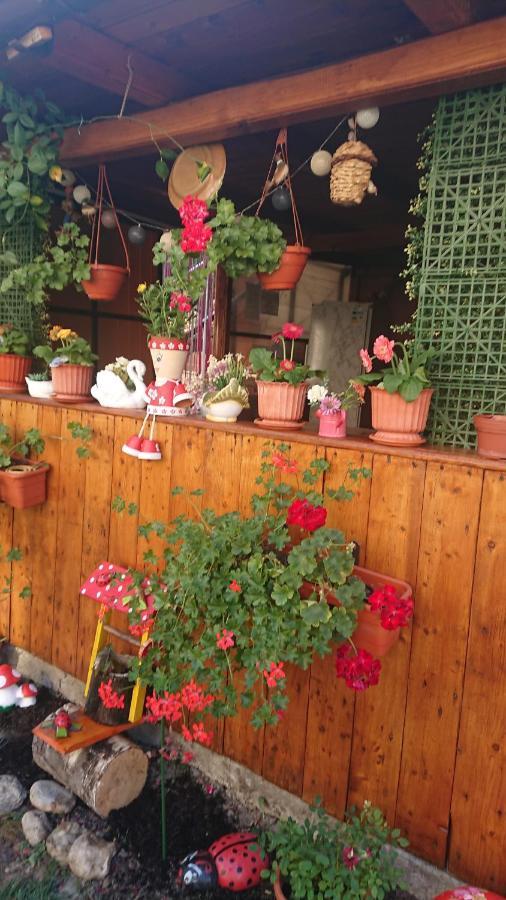 فندق Casa Fabrizio Călimăneşti المظهر الخارجي الصورة