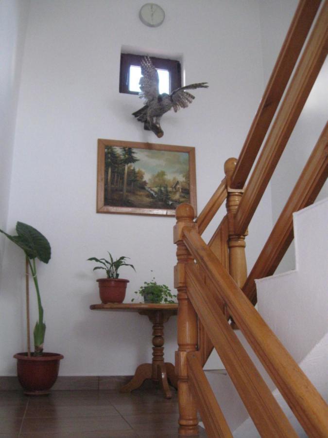 فندق Casa Fabrizio Călimăneşti المظهر الخارجي الصورة